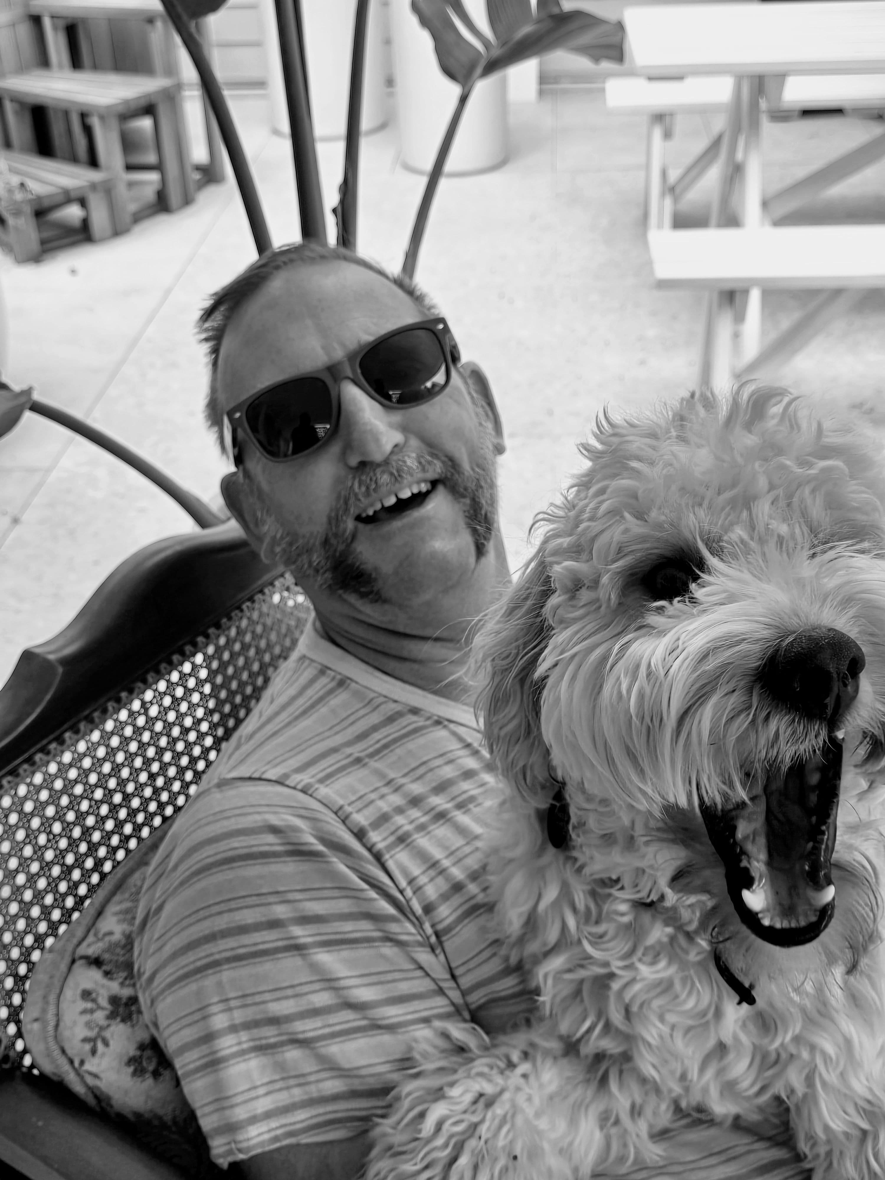 Alex Johnston's profile image